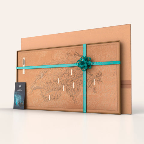 schweizer landkarte pinnwand gipfelziele markieren geschenk schlaufe verpackung schweizerkarte bergrelief stecknadeln