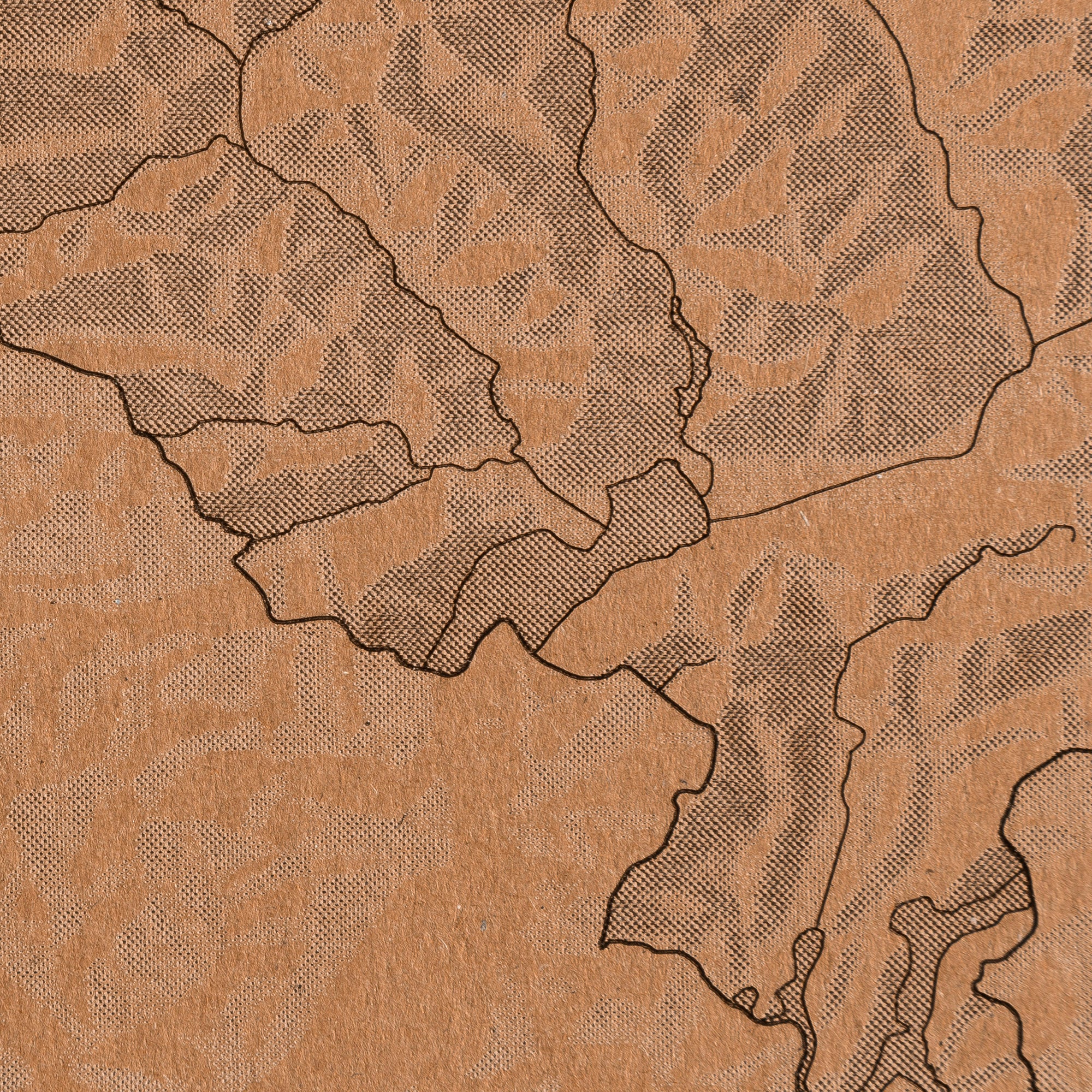 C02 laser gravur karton 3d effekt relief karte schweiz